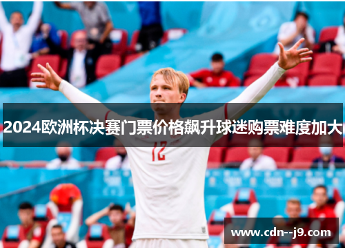 2024欧洲杯决赛门票价格飙升球迷购票难度加大