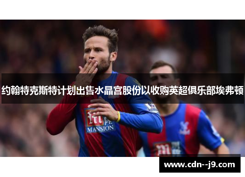 约翰特克斯特计划出售水晶宫股份以收购英超俱乐部埃弗顿